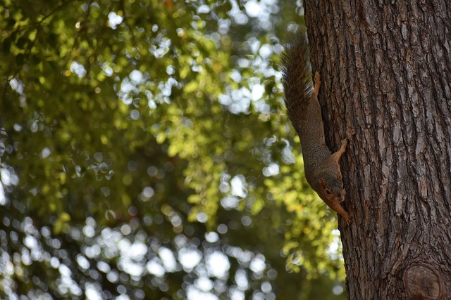 再次展示了 再次展示了