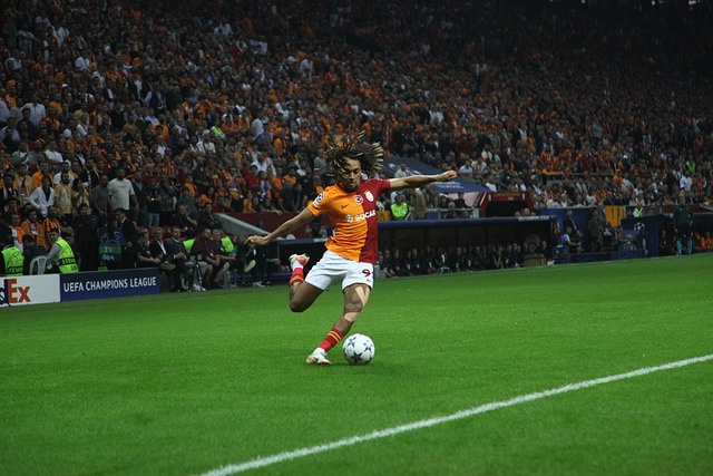 他们抓住利 他们抓住利