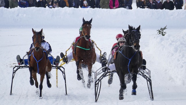 最近一场比 最近一场比