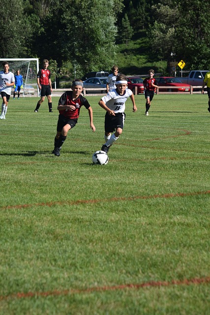 锋的角色之 锋的角色之