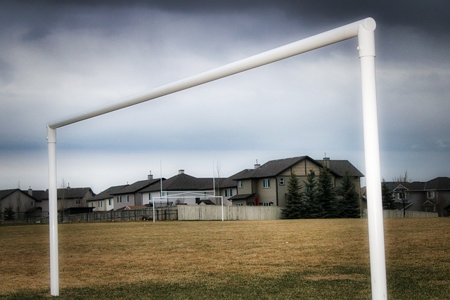 来愈加显著 来愈加显著