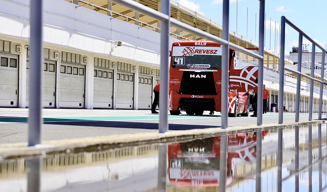 扁带运动的 扁带运动的